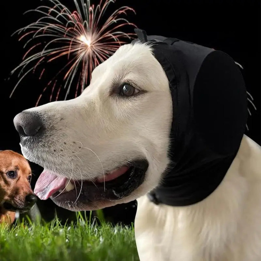 Hund med beroligende hørselsvern for støyreduksjon. Ideell for angstlindring under fyrverkeri og tordenvær.