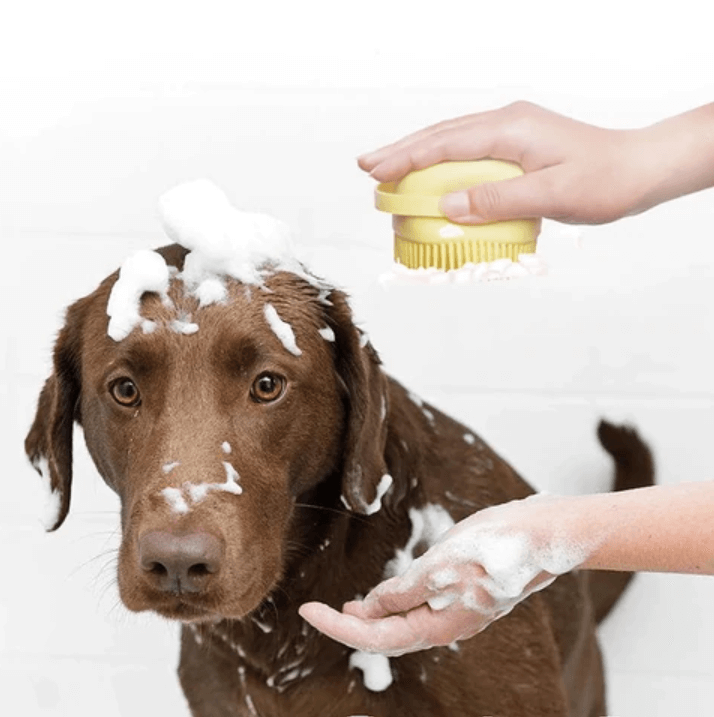 Vask og masser din hund enkelt med denne smarte badebørsten, optimal for en rask badetid.