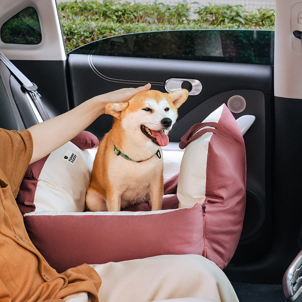 Mellomstor hund nyter en romslig hundebilseng. Ideell for avslappet og sikker hundetransport.
