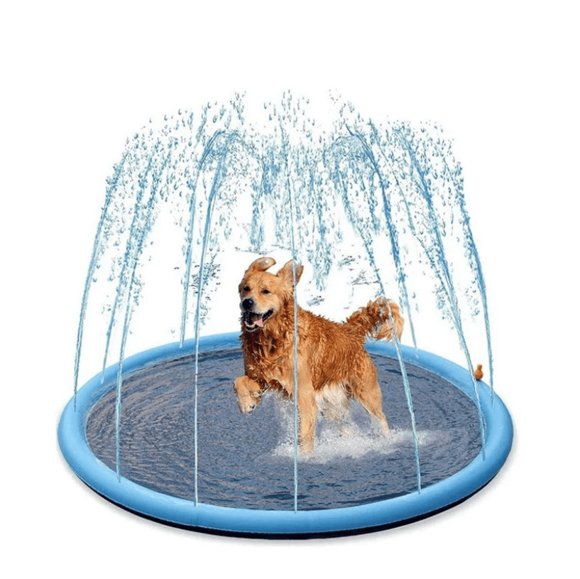 Hundesprinklerpute i blått for lek og avkjøling av kjæledyr om sommeren.