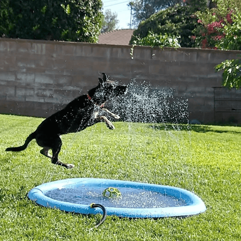 Hundematte med sprinklerfunksjon, ideell for utelek og sommeravkjøling av hunder.