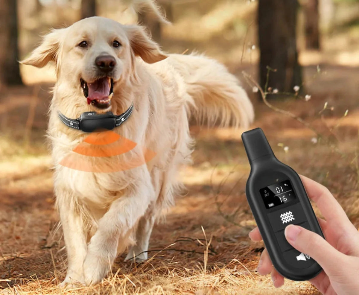 Effektivt treningshalsbånd med lyd, vibrasjon og impuls for hundetrening. Vanntett design, lett å bruke fjernkontroll.