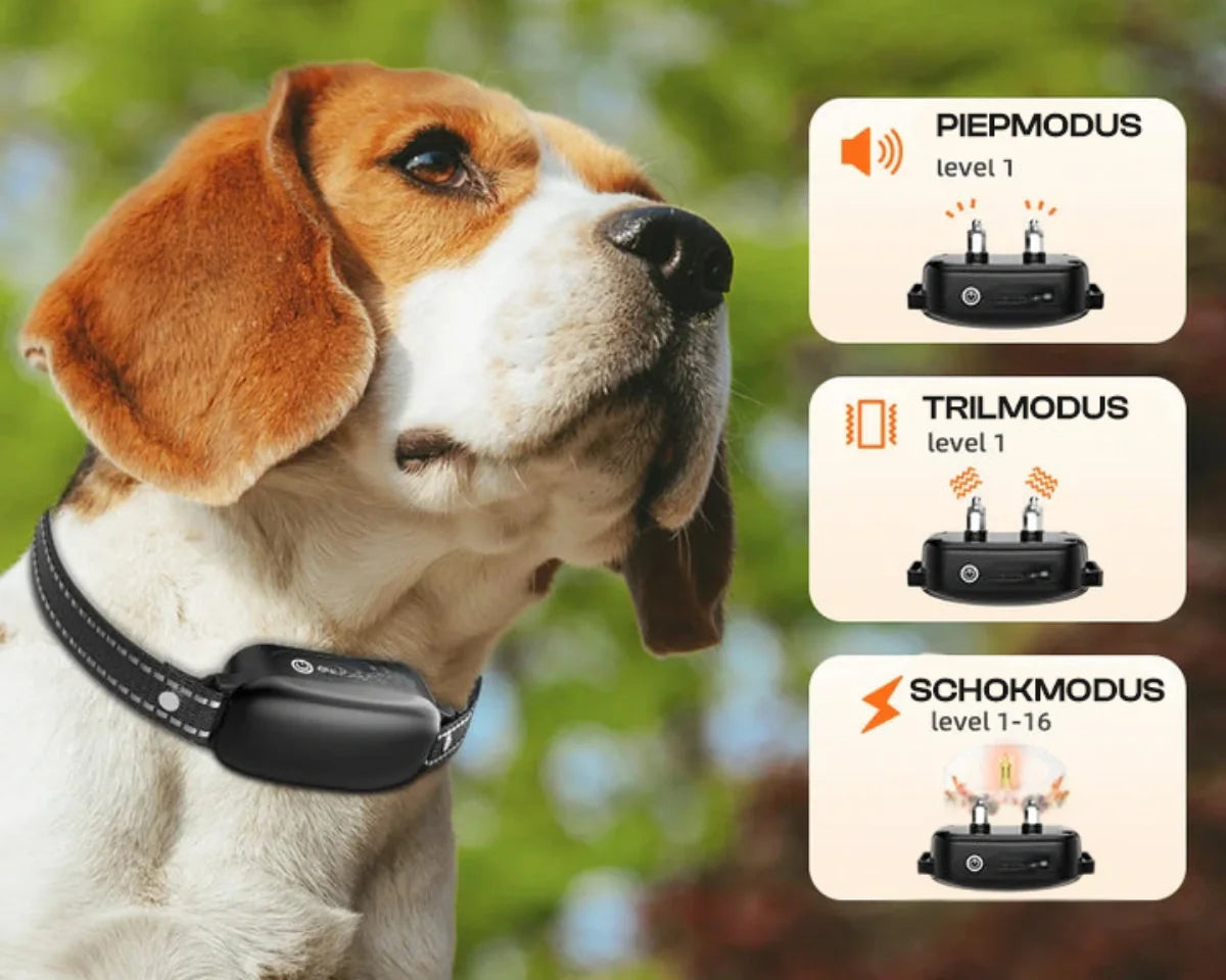 Nærbilde av fjernkontroll og vanntett mottakerhalsbånd for hundetrening. Tydelige knapper og justerbar stropp.