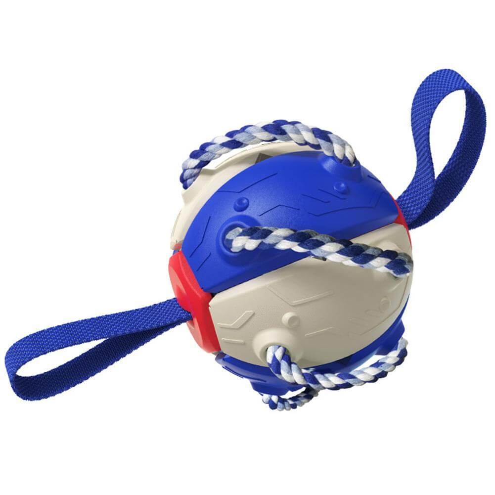 Treningsleke: Interaktiv frisbee ball som styrker båndet. Gøy for valp og hund. For aktiv lek.