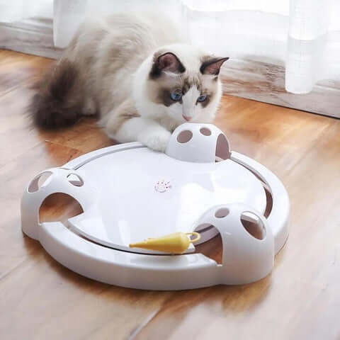 Katteleke som fremmer kattens jaktinstinkt med en bevegelig, interaktiv mus for spennende lek.