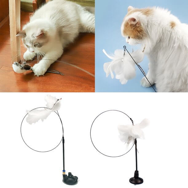 Lekende kattunge fanger en interaktiv fjærleke med sugekopp, som gir timevis med underholdning og trening.
