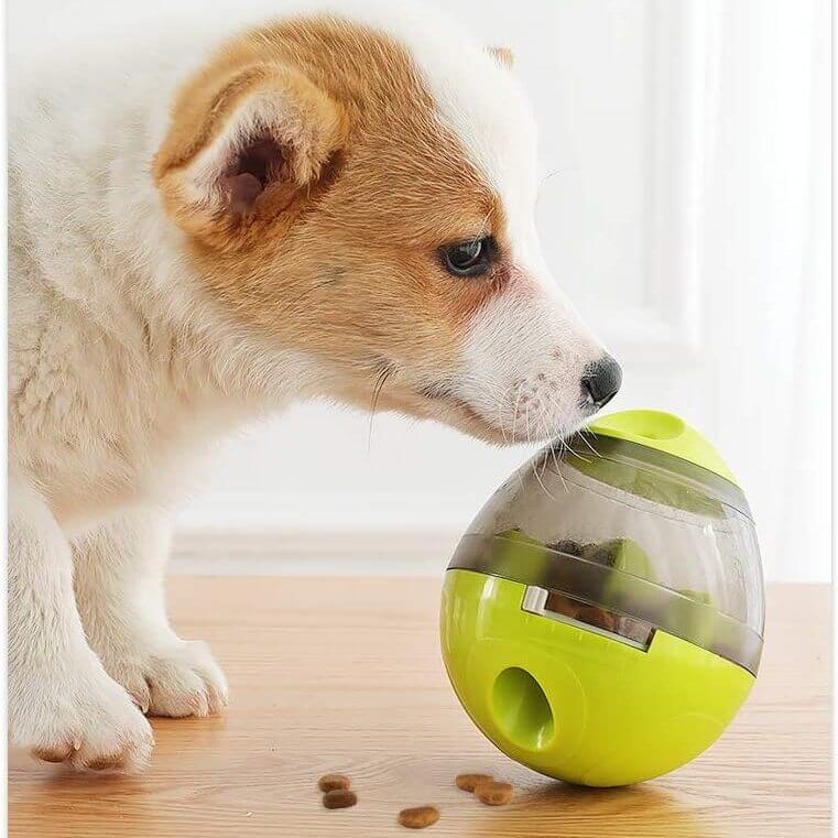 Sakte fôringsball for hund, reduserer gulping og forbedrer fordøyelse under måltidet.