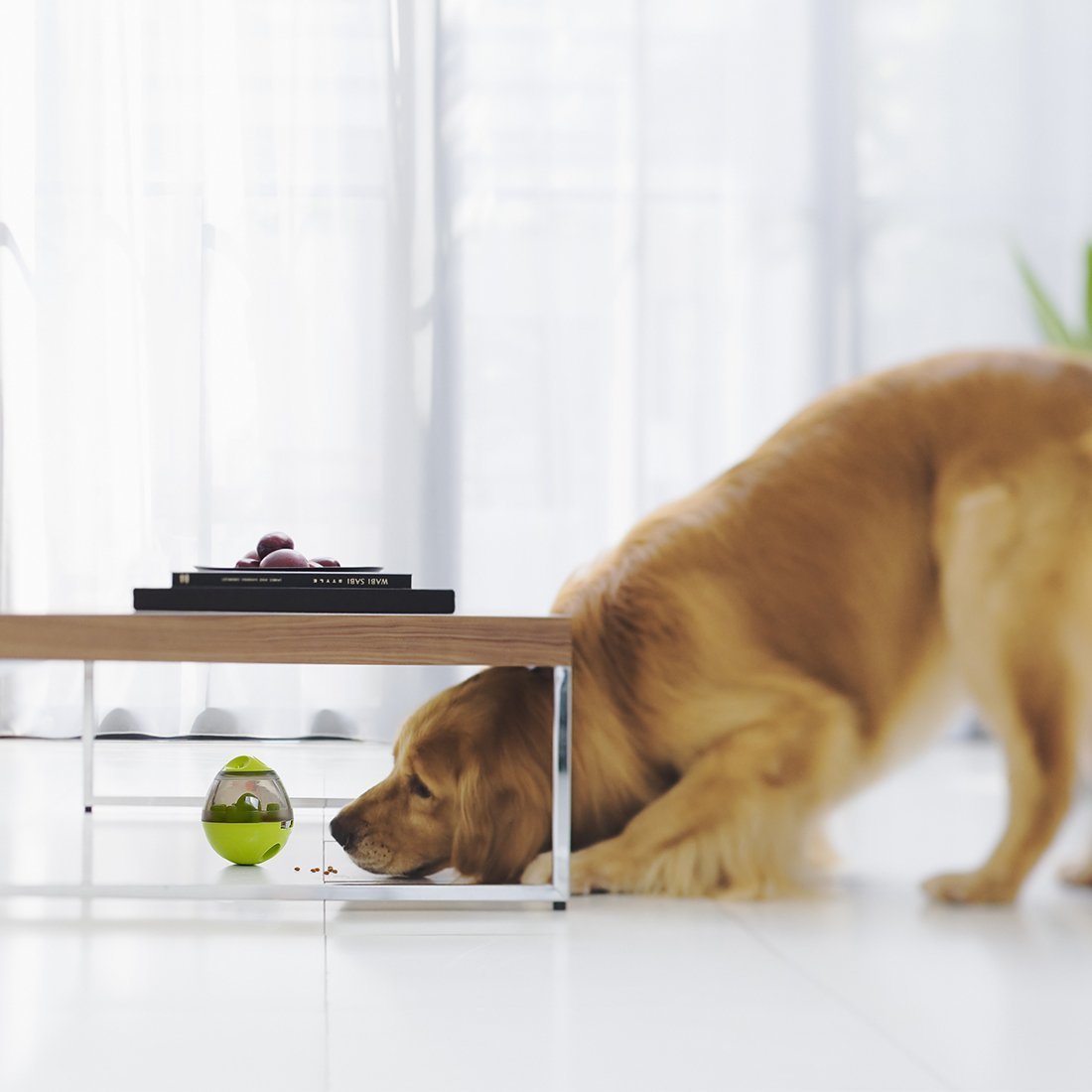 Grønn interaktiv materball for hund; kombinerer sakte fôring og mental stimulering for kjæledyr.