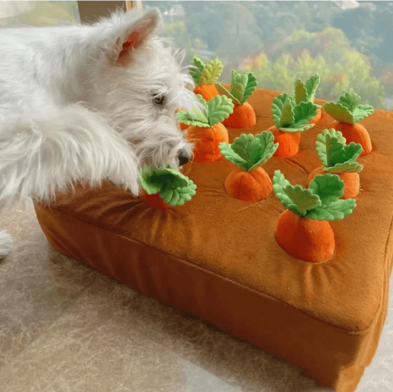 Berikende plysj snuseleke for hund og valp. Fremmer naturlig snuseatferd og reduserer stress.