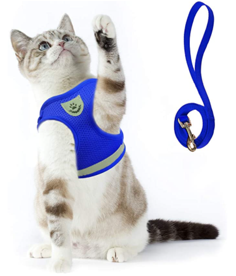 En glad katt går trygt i justerbar kattesele og bånd på grønt gress. Perfekt for utforskning.