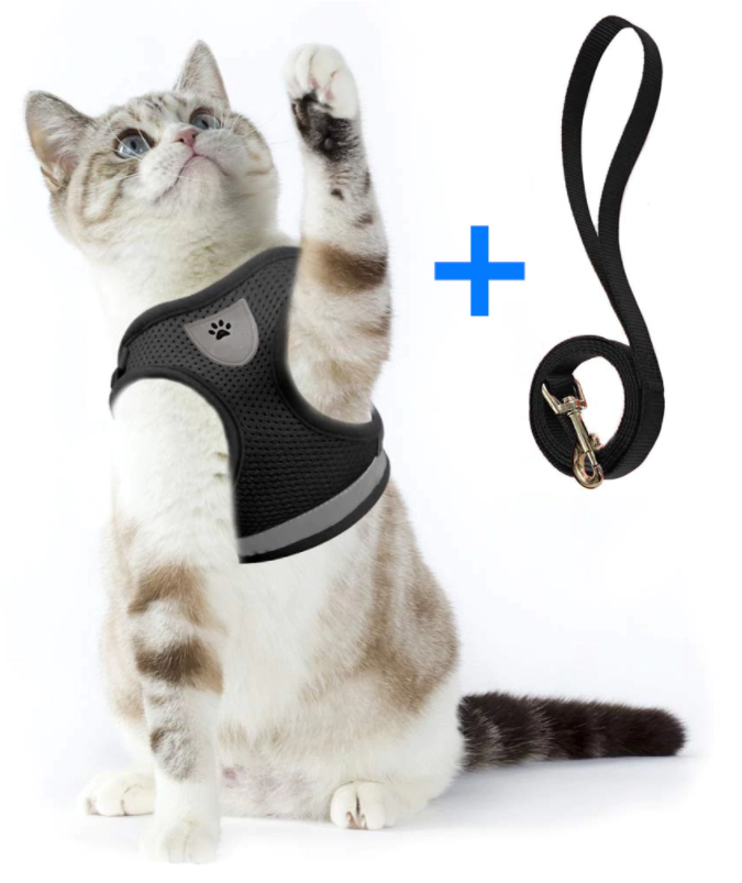 Kattesele og bånd sett designet for trygghet og komfort på utendørsturer med katten din.
