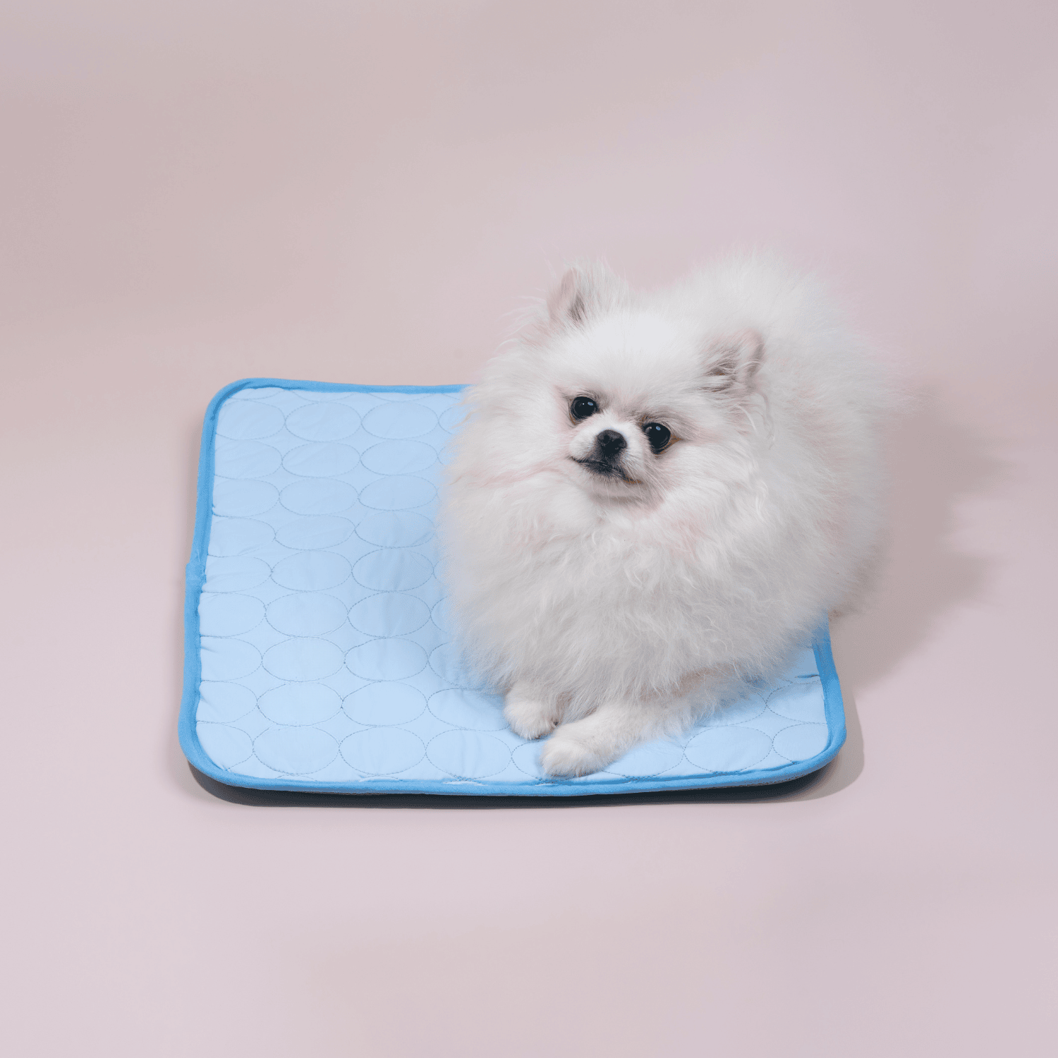 Selvavkjølende matte for hund, gir komfort og dyrevennlig avkjøling. Ideell for sommeren, lettstelt.