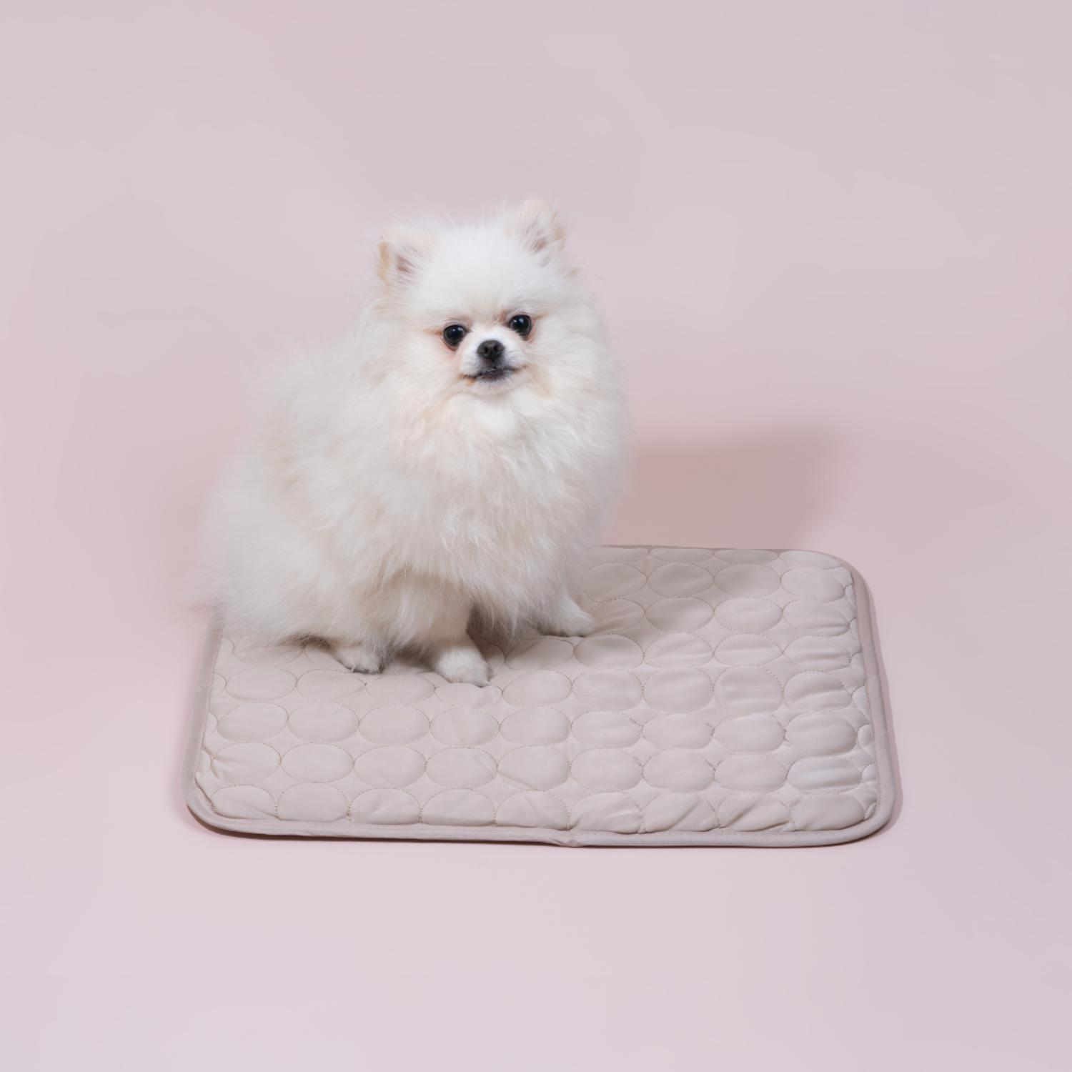 Blå kjølematte for hund som tilbyr svalende komfort. Perfekt til innendørs og utendørs bruk.