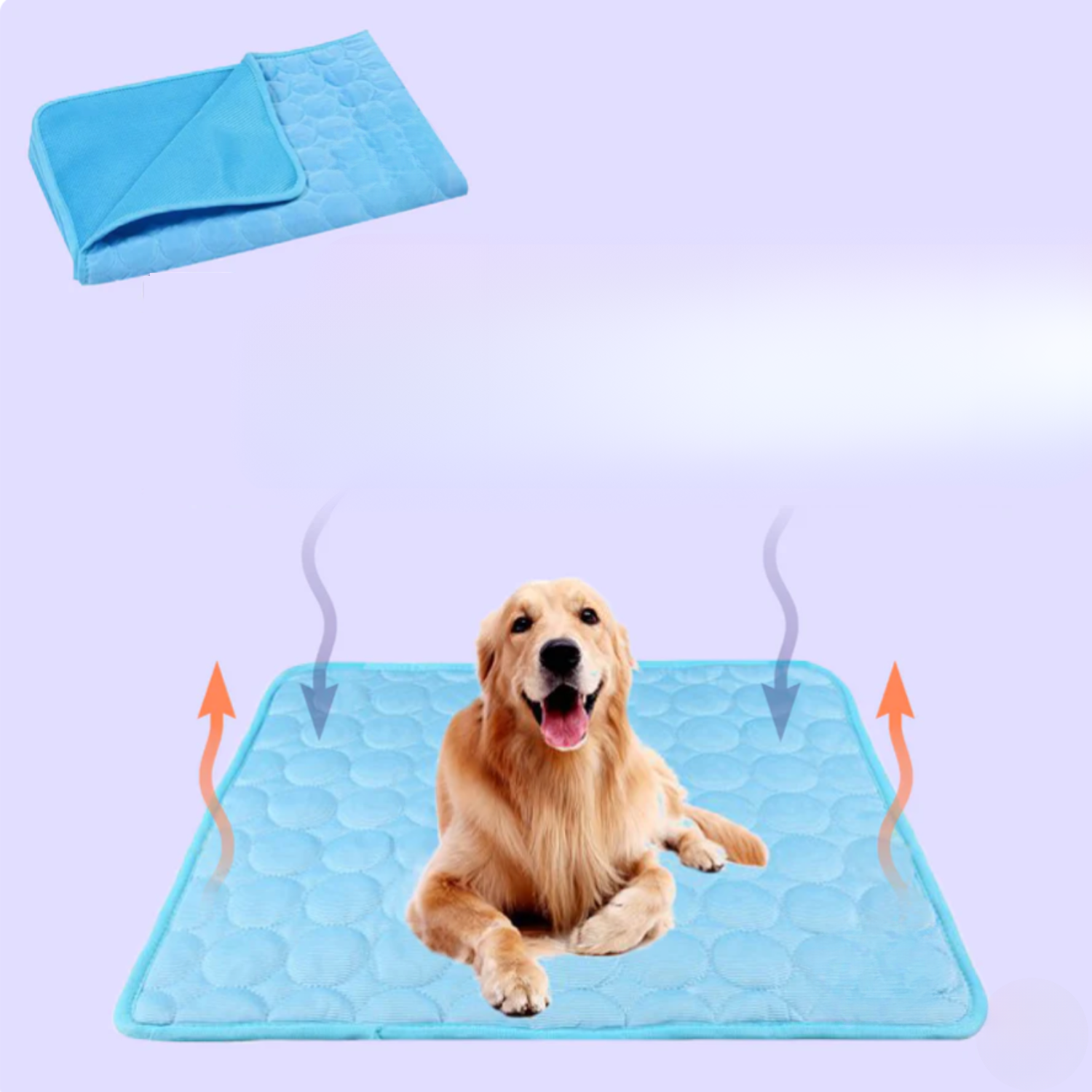 Sikker kjølematte for hund som forebygger overoppheting og sikrer kjæledyrets velbefinnende i sommervarmen.