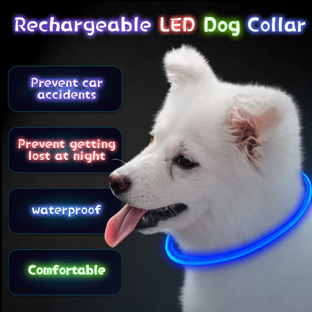 Fokus på sikkerhet: LED-halsbånd gjør hunden godt synlig i mørke og ved dårlig sikt.