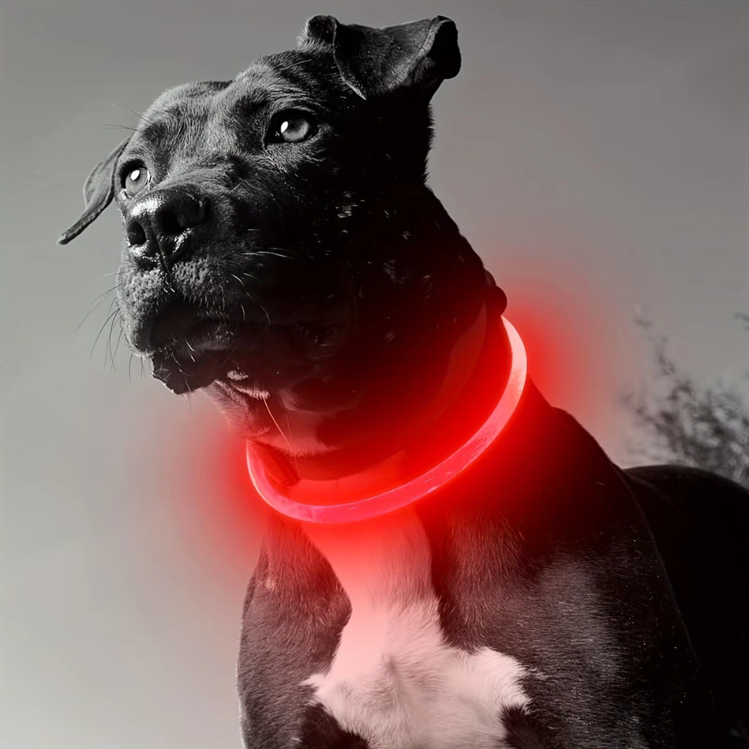 Justerbart LED hundehalsbånd passer til alle hunder, fra liten til stor, for optimal passform.