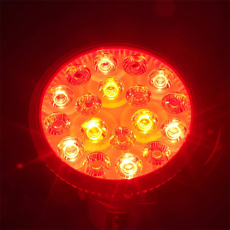 Kompakt LED-lampe for strålende hud. Hudpleieapparat med klemme for ansiktspleie og skjønnhetsbehandling.