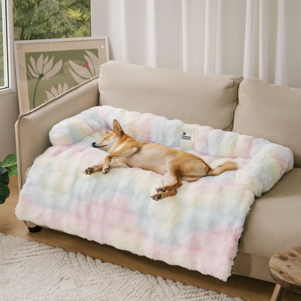 Elegant kjæledyrseng som sofa, gir beskyttelse og komfort. Myk hundeseng for avslapning i innendørs miljø.