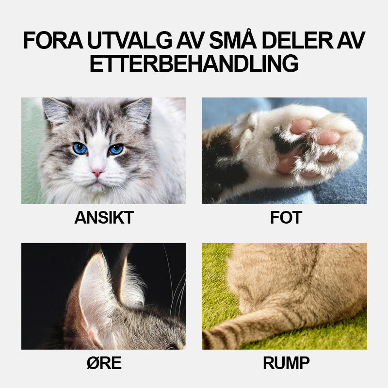 Profesjonell mini trimmer for trygg hjemmepleie av hund og katt. Stille og effektiv for sensitive dyr.