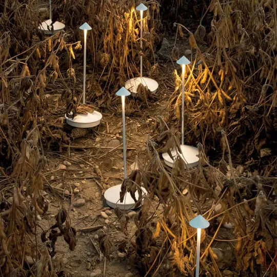 Vanntett oppladbar LED bordlampe for utendørs bruk. Dimbart lys passer perfekt som hage- eller terrassebelysning.