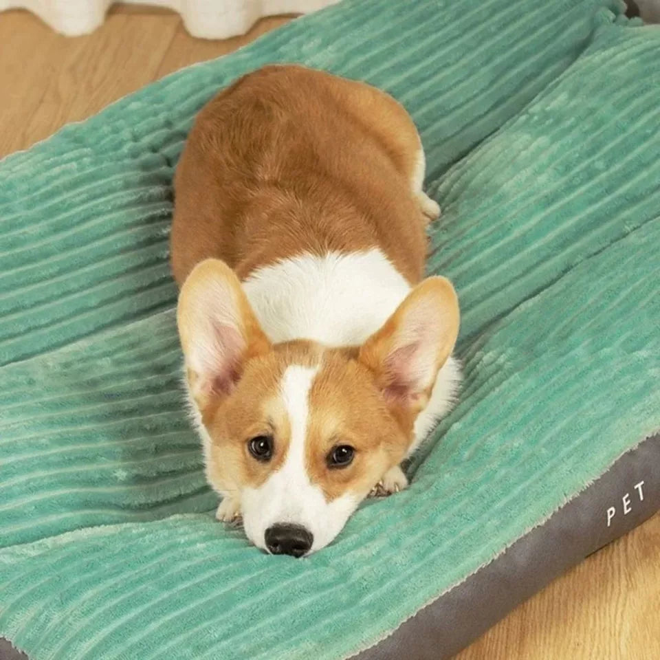 Ergonomisk utformet hundeseng, spesielt for stor hund, tilbyr ultimat komfort og hvile.