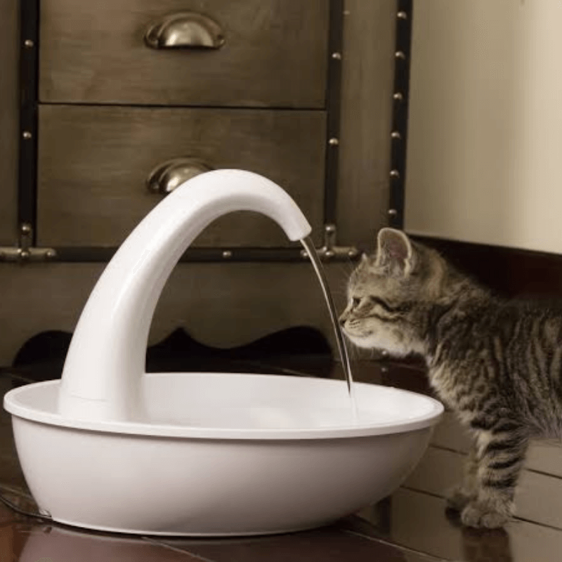Kattens nye vannskål: Automatisk drikkefontene for bedre hydrering og sunt katteliv.