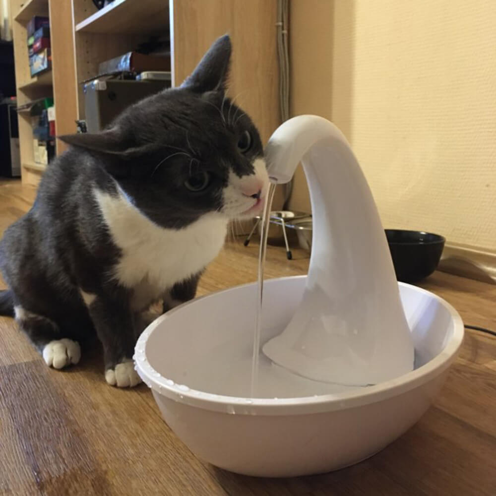 Enkel å rengjøre premium drikkefontene for katter; sikrer rent kattevann og et sunt katteliv.