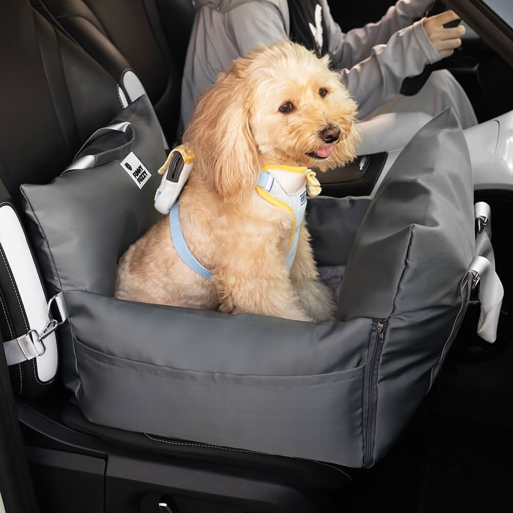 Trygg hundetransport i bil. Hundesete med sikkerhetsfeste for bekymringsfrie turer.