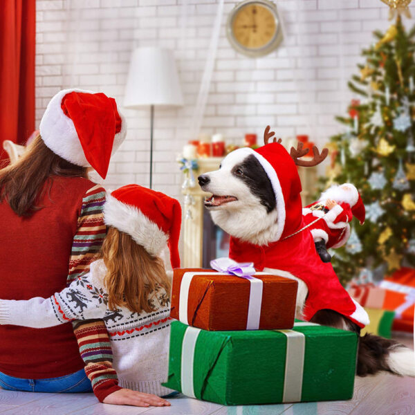 Søtt hundekostyme til jul. Rødt festlig hundeantrekk med juletema for små og store hunder.