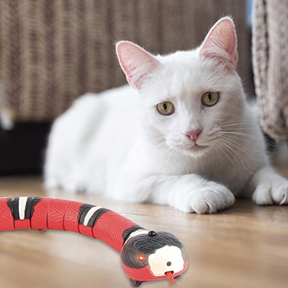 Oppladbar smart slangeleke for katter og barn. Realistisk, interaktiv kjæledyrleke med livlig bevegelse.