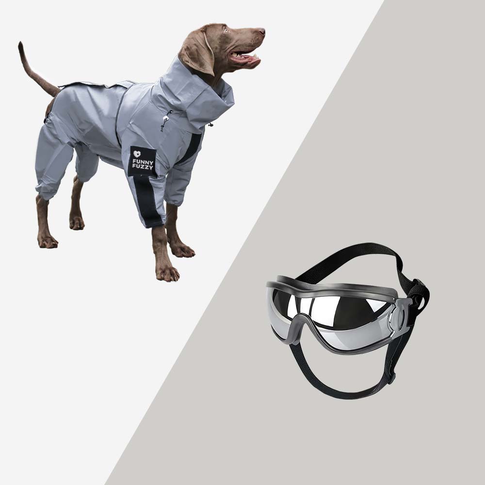 Mørketids hundeklær: Høy-synlighets hunderegnfrakk med kraftige refleksdetaljer for trygge turer i mørket.