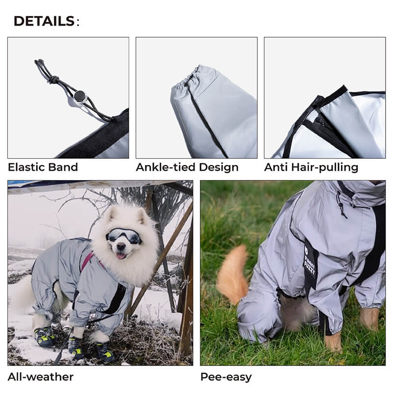Synlig hundetilbehør: Praktisk og synlig hunderegnfrakk med justerbar passform og refleksdetaljer.