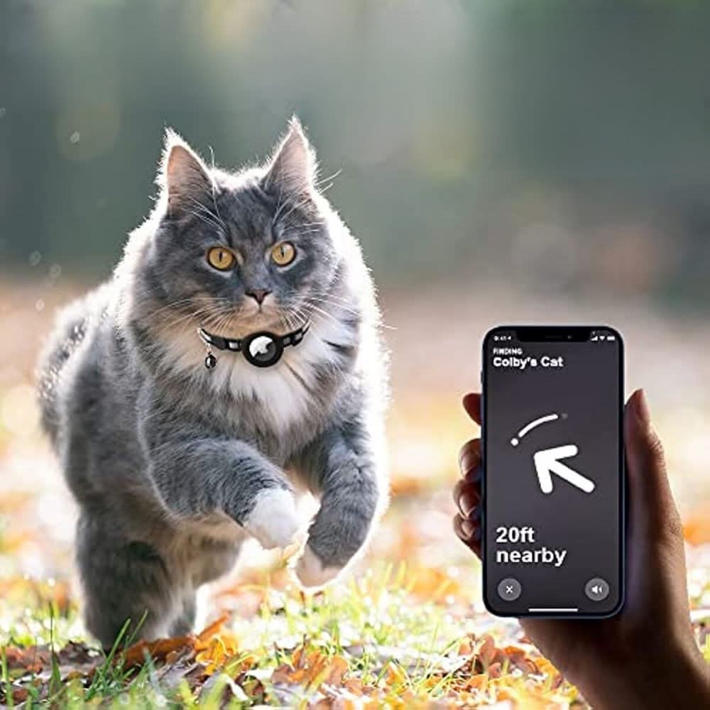GPS tracker halsbånd for katt. Reflekterende nylon kjæledyrutstyr som sikrer katten din og gir trygghet.