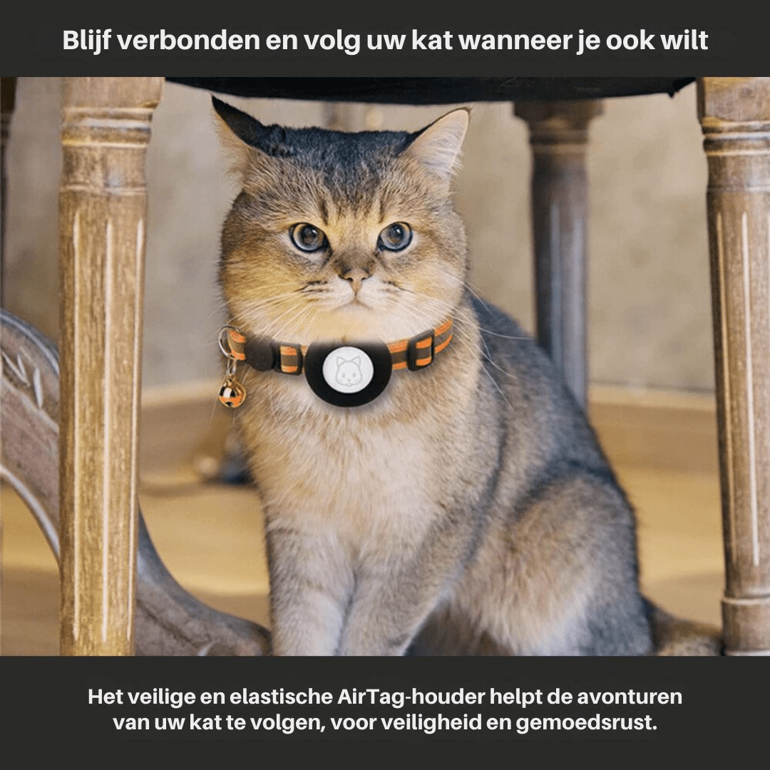 Nærbilde: Robust GPS kattehalsbånd i svart nylon med reflekterende striper for god nattesynlighet.