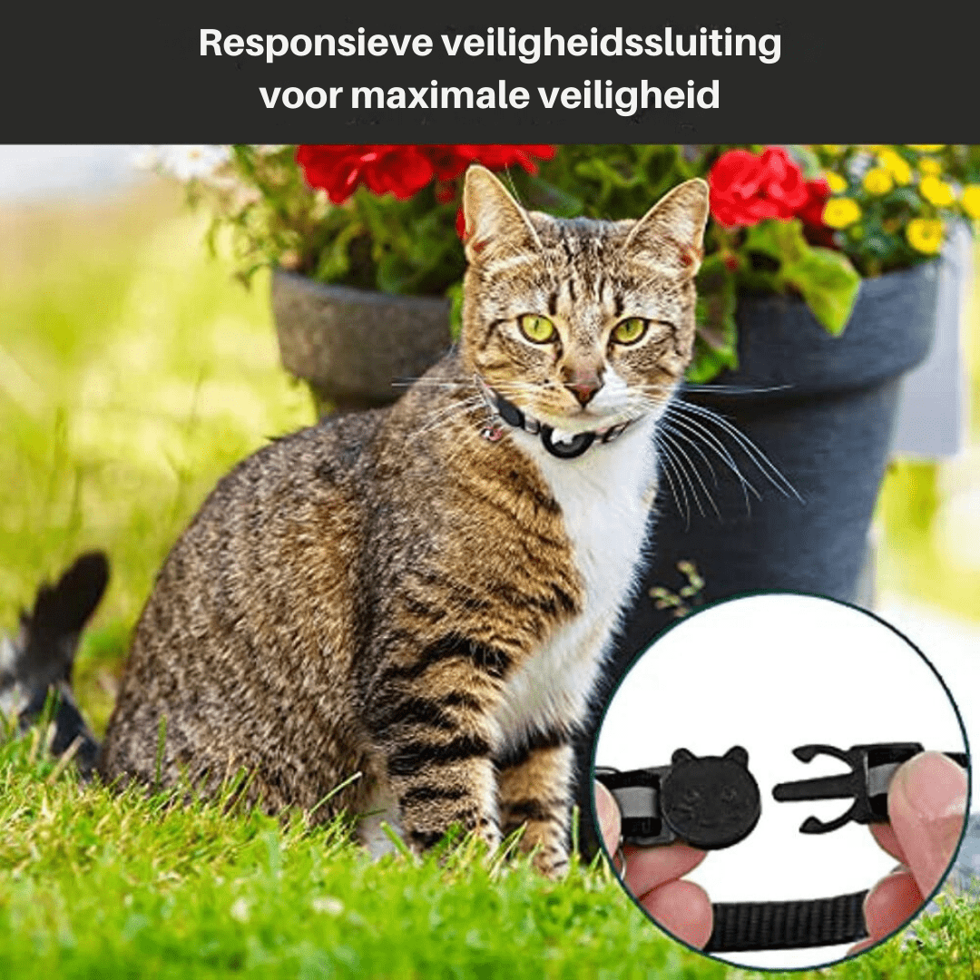 Kattehalsbånd med GPS-sporingsenhet. Gir økt trygghet og mulighet til å spore din utendørs katt.