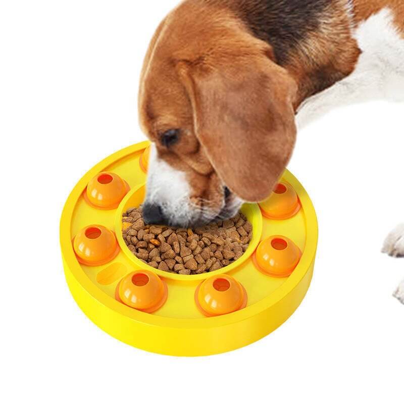 Smart Fôringsleke til Hund – Mental Stimulering og Sakte Spising