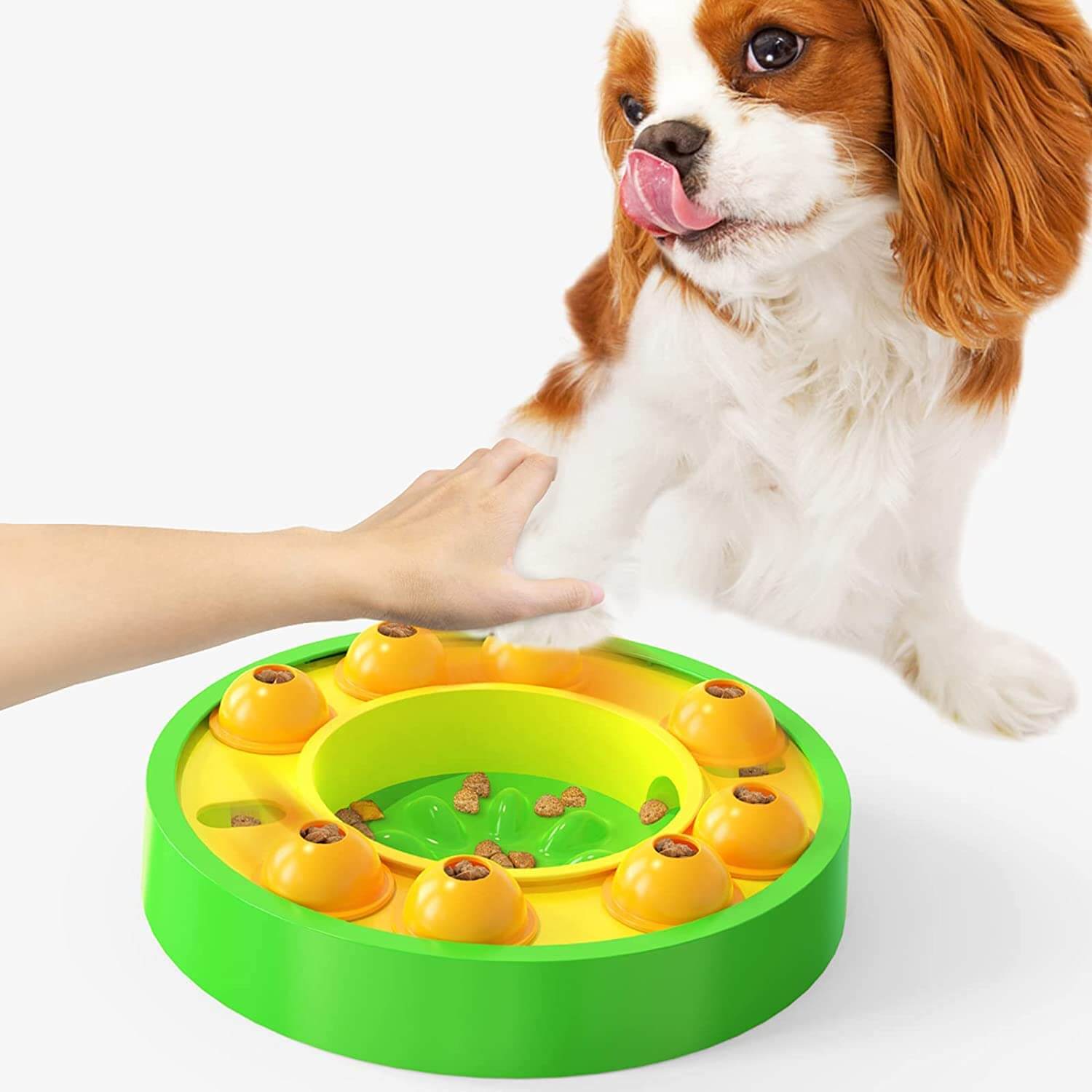 Smart Fôringsleke til Hund – Mental Stimulering og Sakte Spising