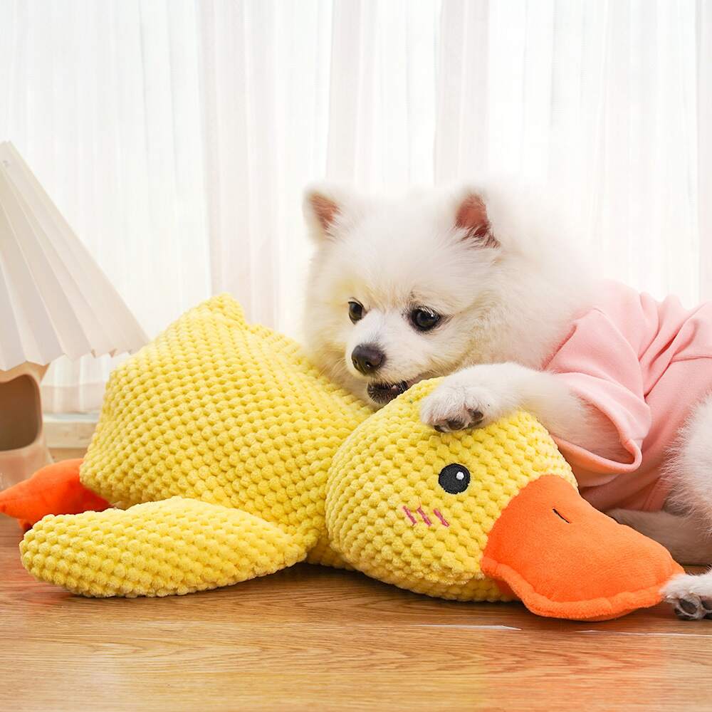 Myk, kvekkende SnuggleQuack hundeleke. Lindrer stress og separasjonsangst, perfekt for lek og kos.
