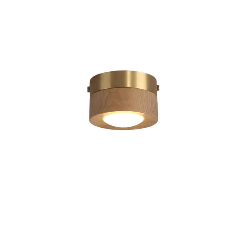 Allsidig LED taklampe for soverom, kjøkken eller gang. Moderne og stilren innendørsbelysning.