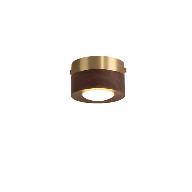 Stilren taklampe med integrert LED, moderne design og miljøvennlig funksjon for innendørsbelysning.