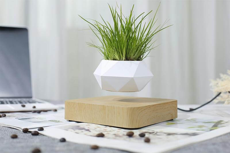 Elegant svevende potte for bonsai, bruker magnetisk levitasjon for en unik og stilig effekt.