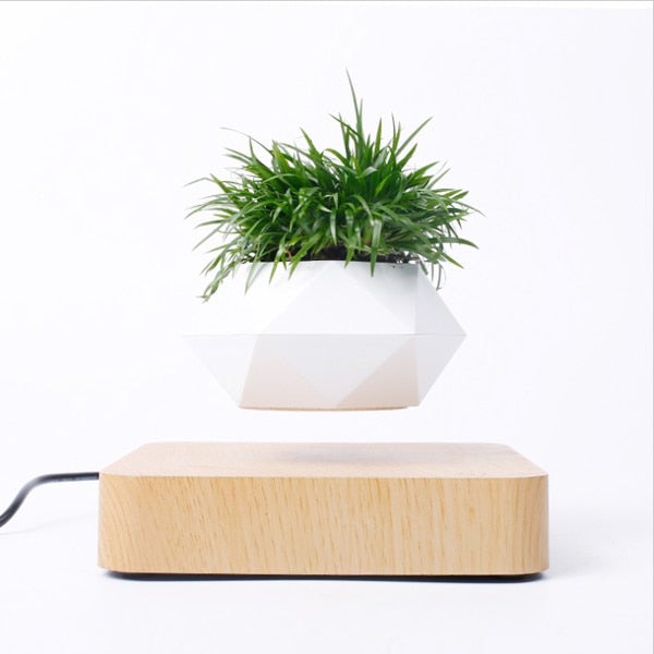 Leviterende plantepotte på et bord, fremhever moderne design og den svevende effekten. Gadget.