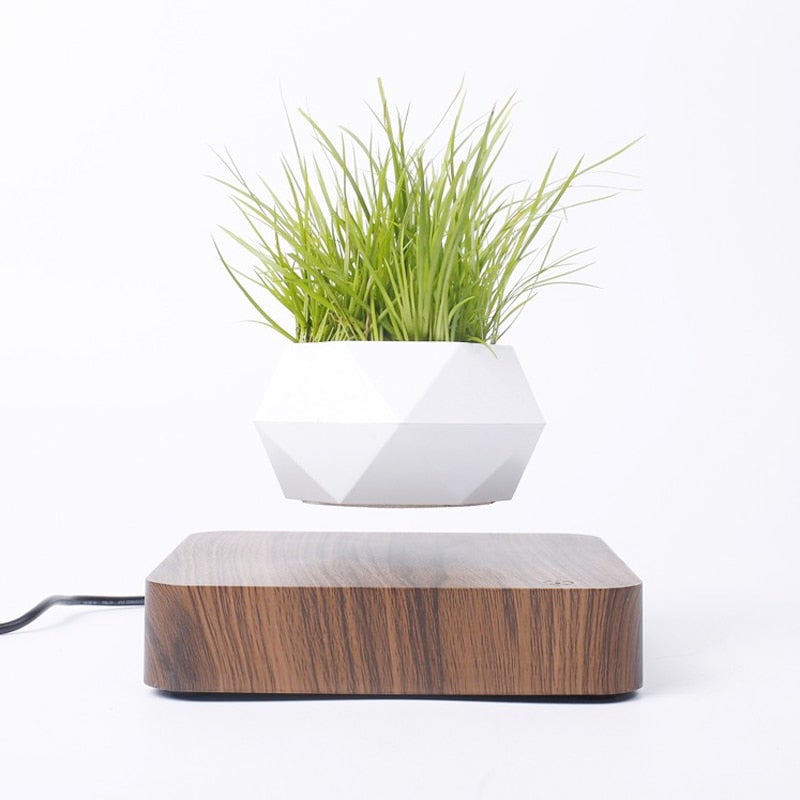 Moderne magnetisk svevende potte, stilrent design for stue, kontor eller som gave.