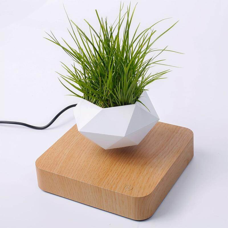 Fantastisk gaveidé: DIY leviterende bonsai potte med magnetisk teknologi og moderne stil.