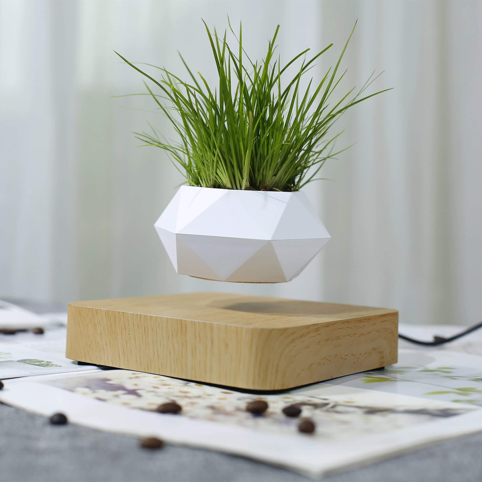 Leviterende potte med en liten bonsai plante, skaper unik visuell attraksjon i hjemmet.